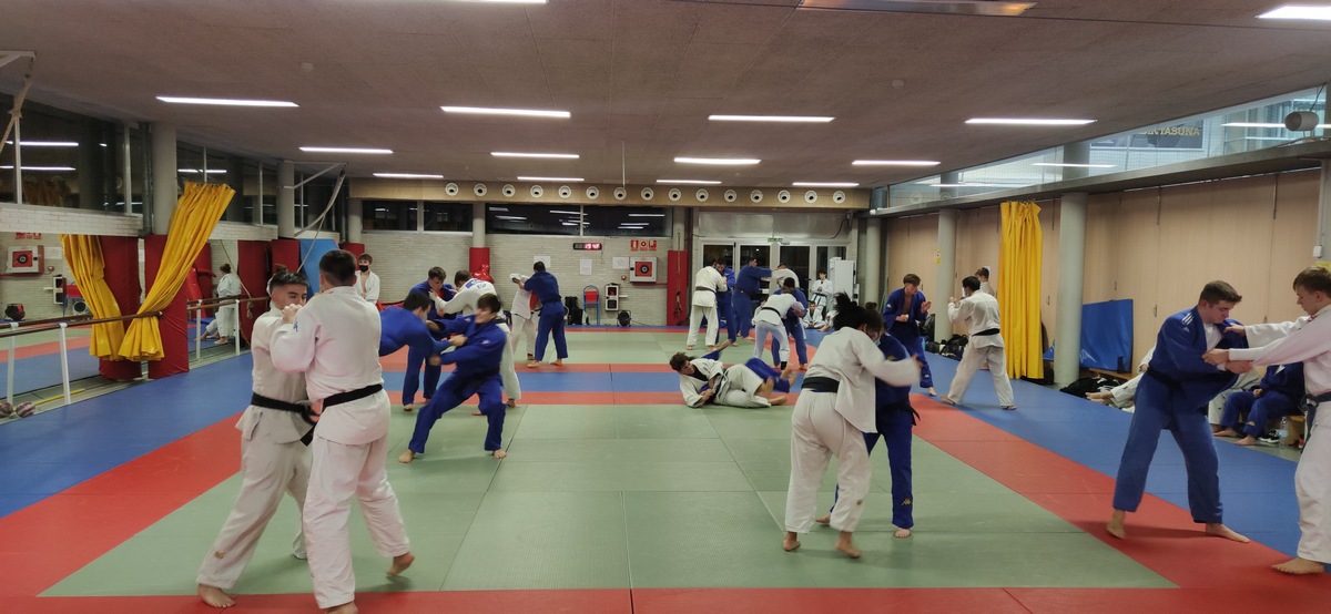 Stage Judo Navidad_Pamplona, 27, 28 y 29 de diciembre. FOTOS - VIDEO